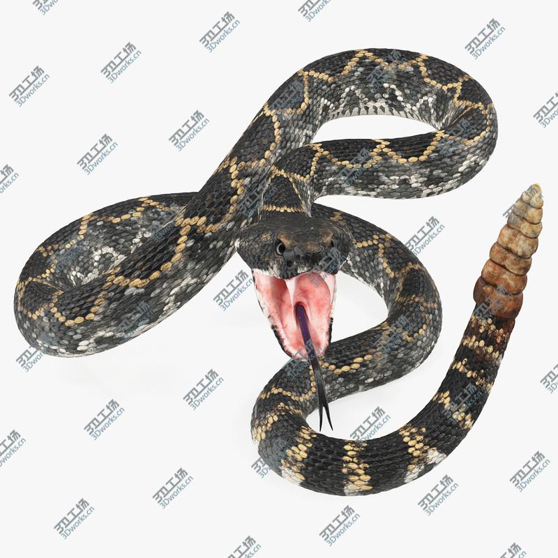 images/goods_img/202105072/3D model Dark Rattlesnake Attack Pose 3D Model/1.jpg